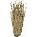  Lucky Reptile Grass Bushes 25-40 cm