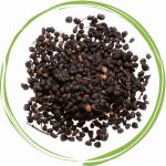 Koňské bylinky Bez černý plod Sambuci nigri fructus 1 kg – Hledejceny.cz