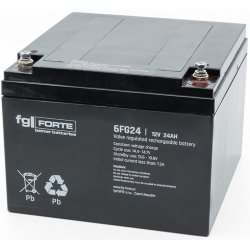 fgForte 12V 24Ah 6FG24