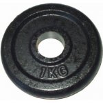 ACRA Litinový kotouč na činky 1kg 25mm – Hledejceny.cz