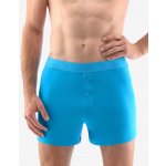 Bambusové šité boxerky s kratší nohavičkou a potiskem ecobamboo světle modré s potiskem 73124P – Zboží Dáma