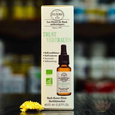 Elixirs & Co Bachova kombinovaná esence Sebedůvěra 20 ml – Hledejceny.cz