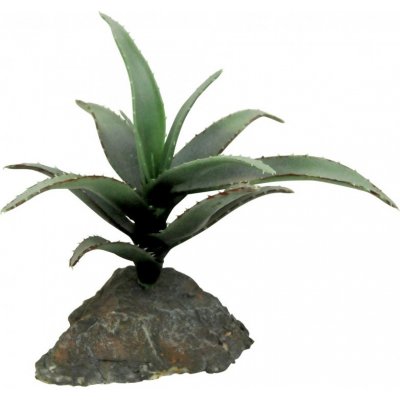 Lucky Reptile Agave malé 10 cm – Hledejceny.cz