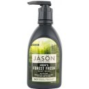 Jason Men sprchový gel Forest fresh 887 ml