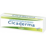 CICADERMA DRM UNG 30G – Hledejceny.cz