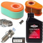 Briggs & Stratton SAE 30 600 ml – Sleviste.cz