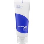 Isntree Hyaluronic Acid Moist Cream 100 ml – Zboží Dáma