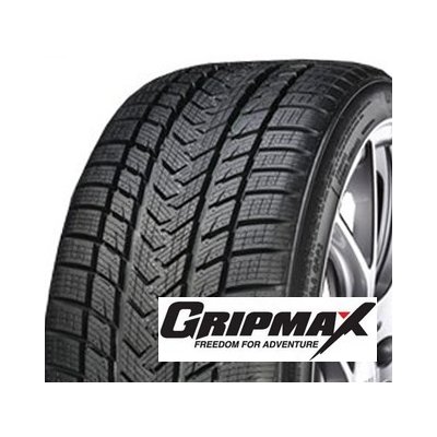 Gripmax Status Pro Winter 295/30 R20 101V