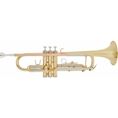 Bacio Instruments BTR-100 – Hledejceny.cz