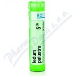 LEDUM PALUSTRE POR 30CH GRA 1X4G – Hledejceny.cz
