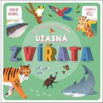 Úžasná zvířata - Přes 60 odklápěcích okének - Helen Catt – Zboží Mobilmania