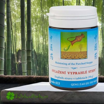 TCM Herbs Svlažení vyprahlé stepi 100 tablet – Hledejceny.cz