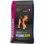 Eukanuba Adult Large Breed 2 x 15 kg – Hledejceny.cz