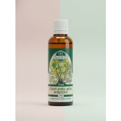 Naděje Podhorná Černý rybíz tinktura z pupenů 50 ml – Hledejceny.cz