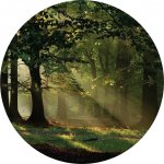 AG Design CR3210 Samolepicí vliesová fototapeta Kouzelný les, rozměry 70 x 70 cm – Zbozi.Blesk.cz