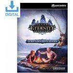 Pillars of Eternity: Expansion Pass – Hledejceny.cz