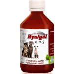 Hyalgel Dog Original jablko 500 ml – Sleviste.cz