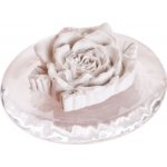 Eoné RŮŽIČKA - ABSORBER A ODPAŘOVAČ SILIC – Hledejceny.cz