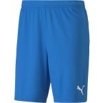 Puma TEAM GOAL 23 KNIT SHORTS – Zboží Dáma