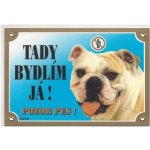 Dafiko Barevná cedulka Pozor pes - Buldog anglický – Sleviste.cz
