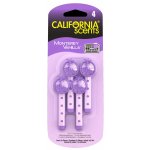 California Scents Vent Stick Monterey Vanilla 4 ks – Hledejceny.cz