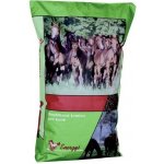 Energys Nature Kukuřičné vločky 15 kg – Zboží Mobilmania