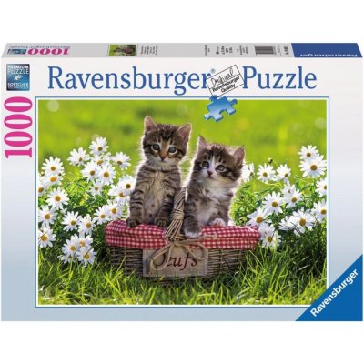 Ravensburger Piknik na louce 1000 dílků – Zboží Mobilmania