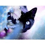 Gaira Diamantové malování Kočka D0372 – Sleviste.cz