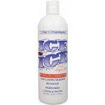 Chris Christensen Ice on Ice Detangling Conditioner Rozčesávací Kondicionér s arganovým olejem 473 ml – Hledejceny.cz