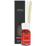 Millefiori Milano aroma difuzér jablko a skořice 100 ml – Zbozi.Blesk.cz