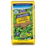 Forestina Hoštický Substrát pro výsev a množení 20 l – Zboží Dáma