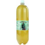 Stevikom Kombucha Green Tea 2 l – Zboží Mobilmania