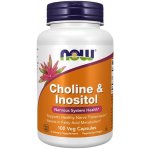 Now Foods Cholin & Inositol 500 mg x 100 kapslí – Hledejceny.cz
