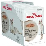 Royal Canin Feline Ageing 12 + Jelly 12 x 85 g – Hledejceny.cz