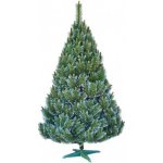 Nohel Garden Stromek BOROVICE umělý vánoční + stojan 160cm – Sleviste.cz