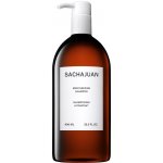 Sachajuan Moisturizing Shampoo 250 ml – Zboží Mobilmania
