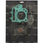 RMS kompletní sada těsnění, motor PEUGEOT ELYSEO 125 98-03 ( )