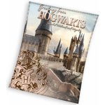 Carbotex Dětská mikroplyšová deka Harry Potter Bradavické Tajemství – Hledejceny.cz