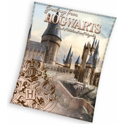 Carbotex Dětská mikroplyšová deka Harry Potter Bradavické Tajemství – Hledejceny.cz