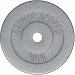Gorilla Sports litina 2 x 1 kg 30/31 mm – Hledejceny.cz