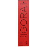 Schwarzkopf Professional Igora Royal Color 9.5-31 pastelová mintová 60 ml – Zboží Dáma