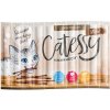 Pamlsek pro kočky Catessy Sticks Bar-B-Q s lososem 150 x 5 g