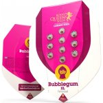 Royal Queen Seeds Bubblegum XL semena neobsahují THC 3 ks – Zboží Mobilmania