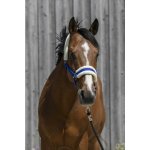 RIDING WORLD Ohlávka s beránkem královsky modrá – Zboží Dáma