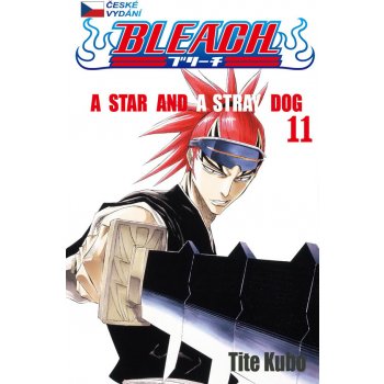 Bleach 11: A Star and a Stray Dog