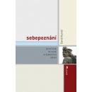 Sebepoznání -- Psychoterapeutické principy a postupy - David Kuneš