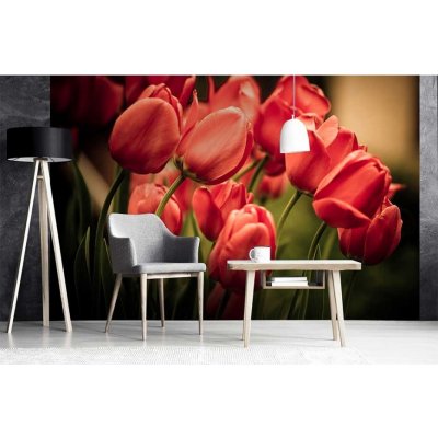 Dimex MS-5-0128 vliesová fototapeta na zeď Červené tulipány rozměry 375 x 250 cm – Zbozi.Blesk.cz