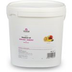 Velba Wellness Koupelová sůl Mango a citrus 5 kg – Hledejceny.cz