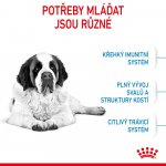 Royal Canin Giant Junior 15 kg – Zboží Dáma