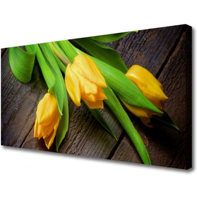 Obraz na plátně Tulipány Květiny 100x50 cm – Hledejceny.cz